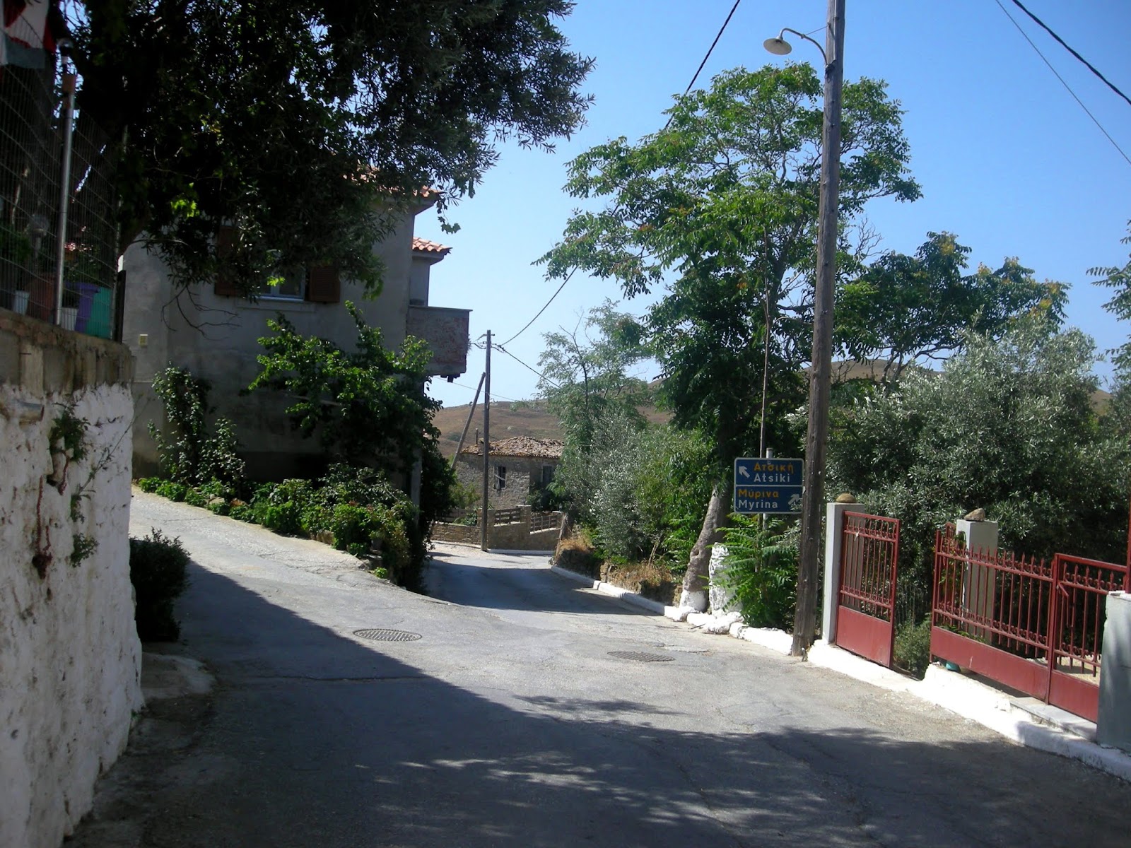 ΛΗΜΝΟΣ: Δάφνη