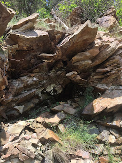 Cavity in the rock where trees used to lie in situ