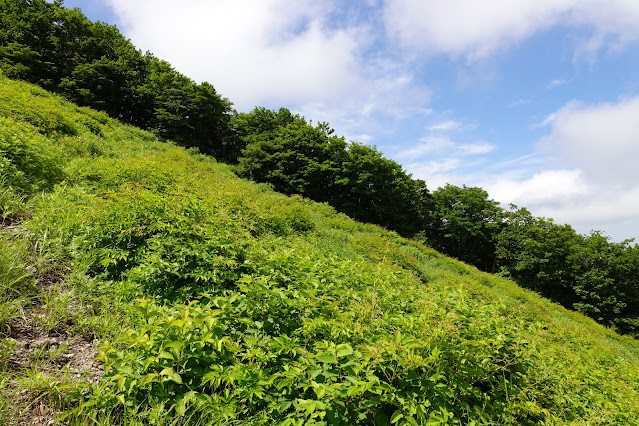 鳥取県西伯郡大山町大山　だいせんホワイトリゾート国際エリア　中腹からの眺望