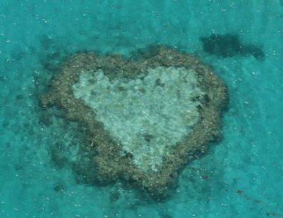 love heart reef