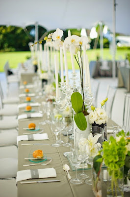 A Colorful Tropical Wedding Theme