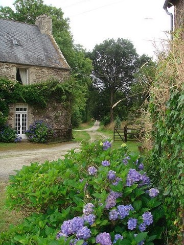 The Cottage Market: Country French Kitchens A charming collection