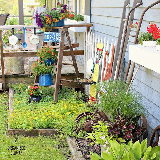 Photo of my back junk garden planters, plantings and junk