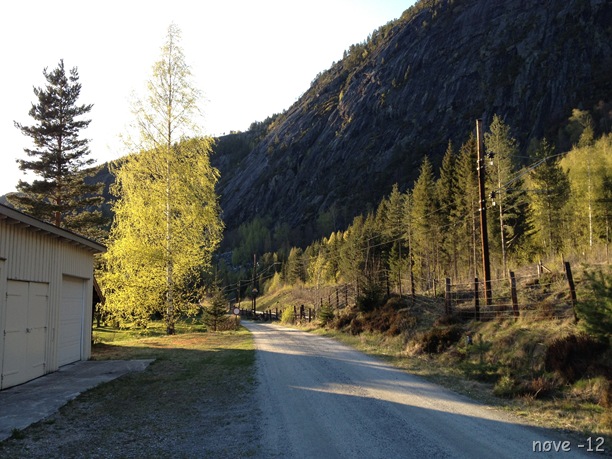 Kolsrud 033