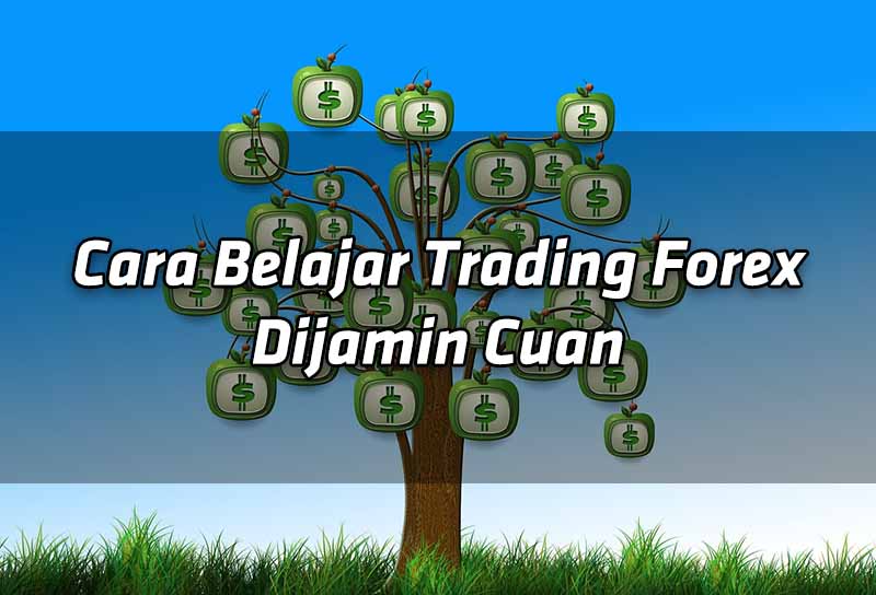 cara-belajar-trading-forex-dijamin-cuan