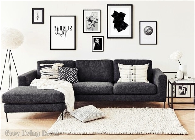 Grey Couch Living Room, Gray Living Room Design Ideas