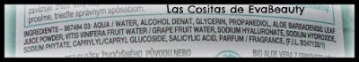 Ingredientes tónico facial con aloe y ácido hialurónico de Garnier en notino
