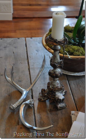 antlers2