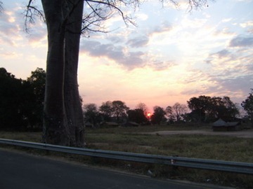 DSCF7669