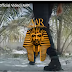 2324Xclusive Update: 9ice @Iamancestor – Pariboto [Video]