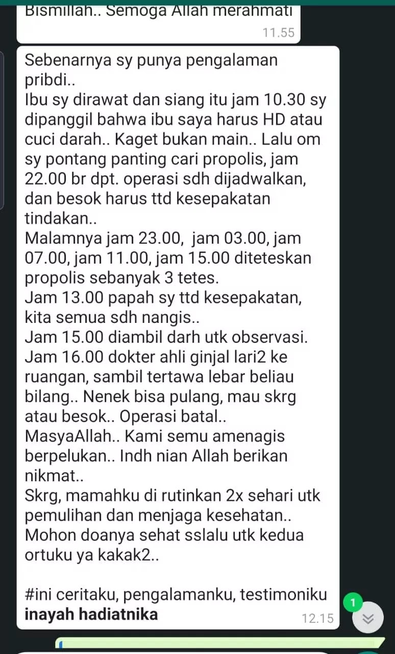 pengalaman orang yang penyakit ginjal &  minum british propolis secara kontinyu & sudah merasakan manfaat yang sangat besar untuk kesehatannya