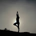 Start Yoga Today: Beginner-Friendly 30-Minute Yoga Workout - Yoga for Beginners