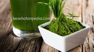 Manfaat spirulina