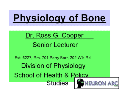 Skeletal System  on Bone Physiology Ppt   Physiology Power Point   Neuron Arc