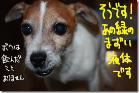 今日カズ１００２０７　２