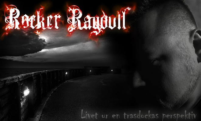Rocker Ragdoll