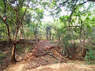 Ananthagiri Temple for Trekking