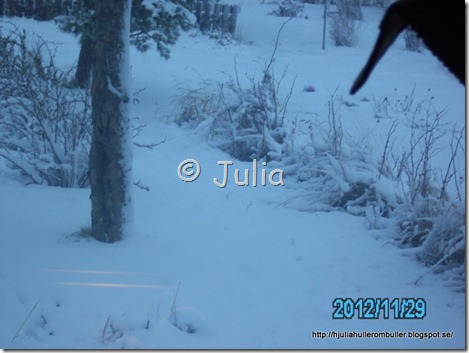 PICT0915