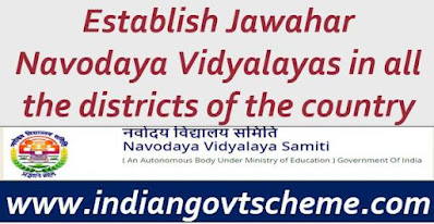 Establish Jawahar Navodaya Vidyalayas