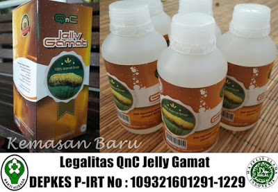 Obat Kolestasis Herbal