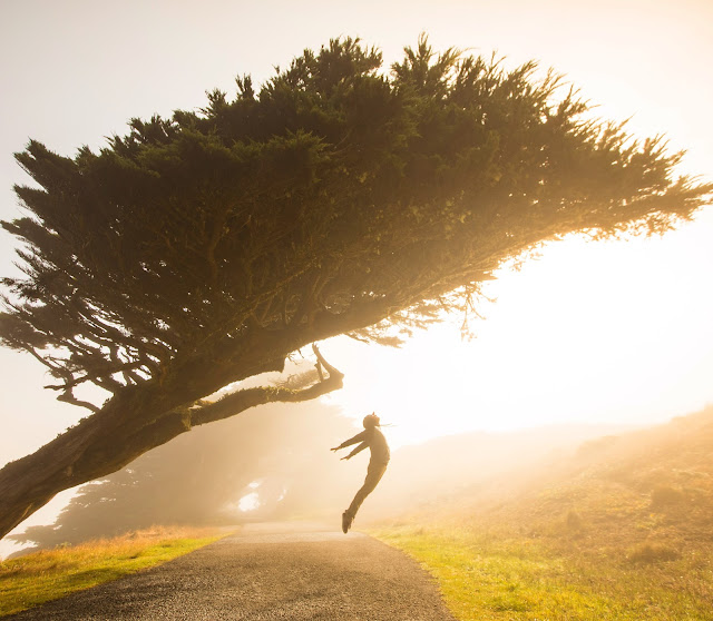 How Plastic particles Terrorize the Air and Lodge into your Lungs | Healthbiztips