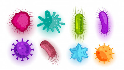 Virus, Bacteria and Fungi