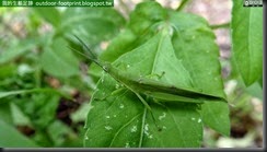 20140820_173712_018_No4Park