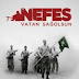 NEFES DVD YARIŞMASI