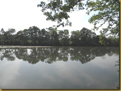 DSCN3305