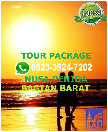 PAKET TOUR 1 HARI NUSA PENIDA BALI, FULL DAY TOUR NUSA PENIDA BALI, BROKEN BEACH, CRYSTAL BAY BEACH, KELINGING BEACH, ANGEL BILLABONG