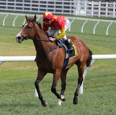 tristarc stakes_first seal 6