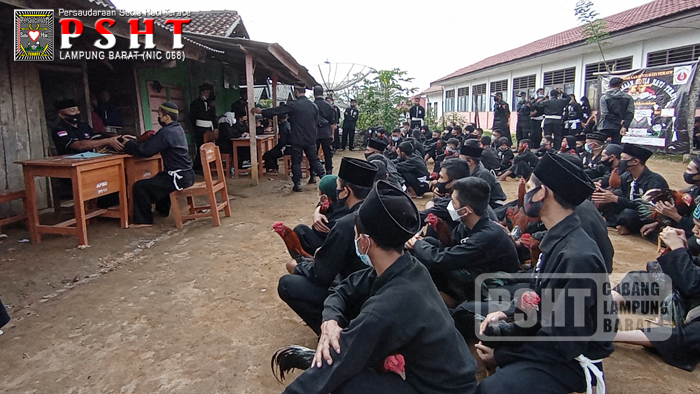 Tes Ayam Siswa PSHT Ranting Air Hitam Cabang Lampung Barat