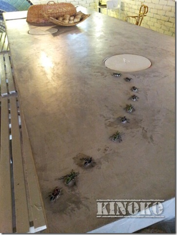 20130224_132650_wm