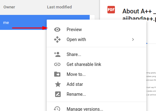 pdf-google-drive-access-previe