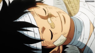 ワンピース アニメ 1077話 ルフィ Monkey D. Luffy ONE PIECE Episode 1077