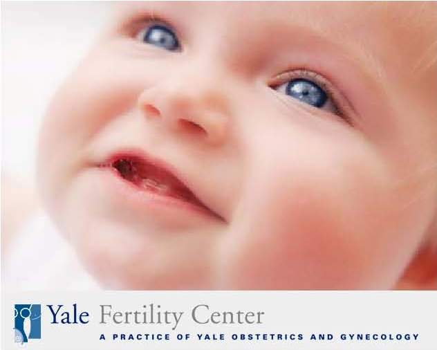 In Vitro Fertilization fertilization in humans. In Vitro Fertilization