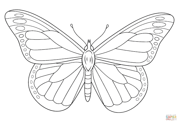 Coloring Pages Butterfly Monarch Butterfly Coloring Page Free Printable  Coloring Pages For Kids Download