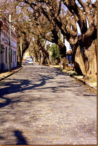 Argentina09 037