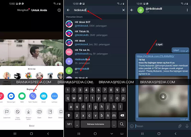 Cara Menggunakan Bot HK TikTok DL Telegram-1