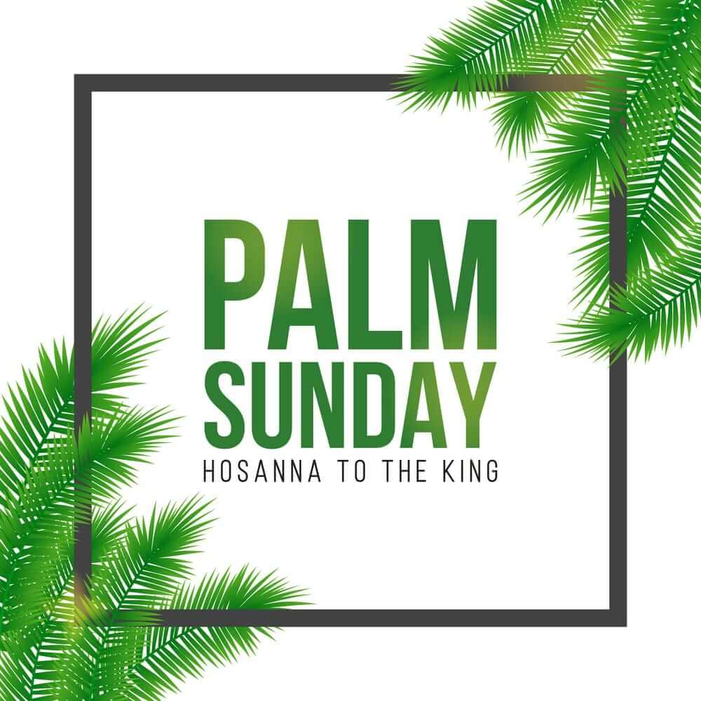 Palm Sunday Pictures