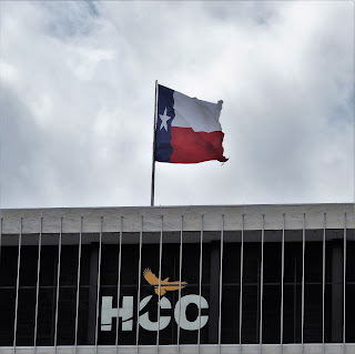 HCC LOGO WITH TEXAS FLAG 