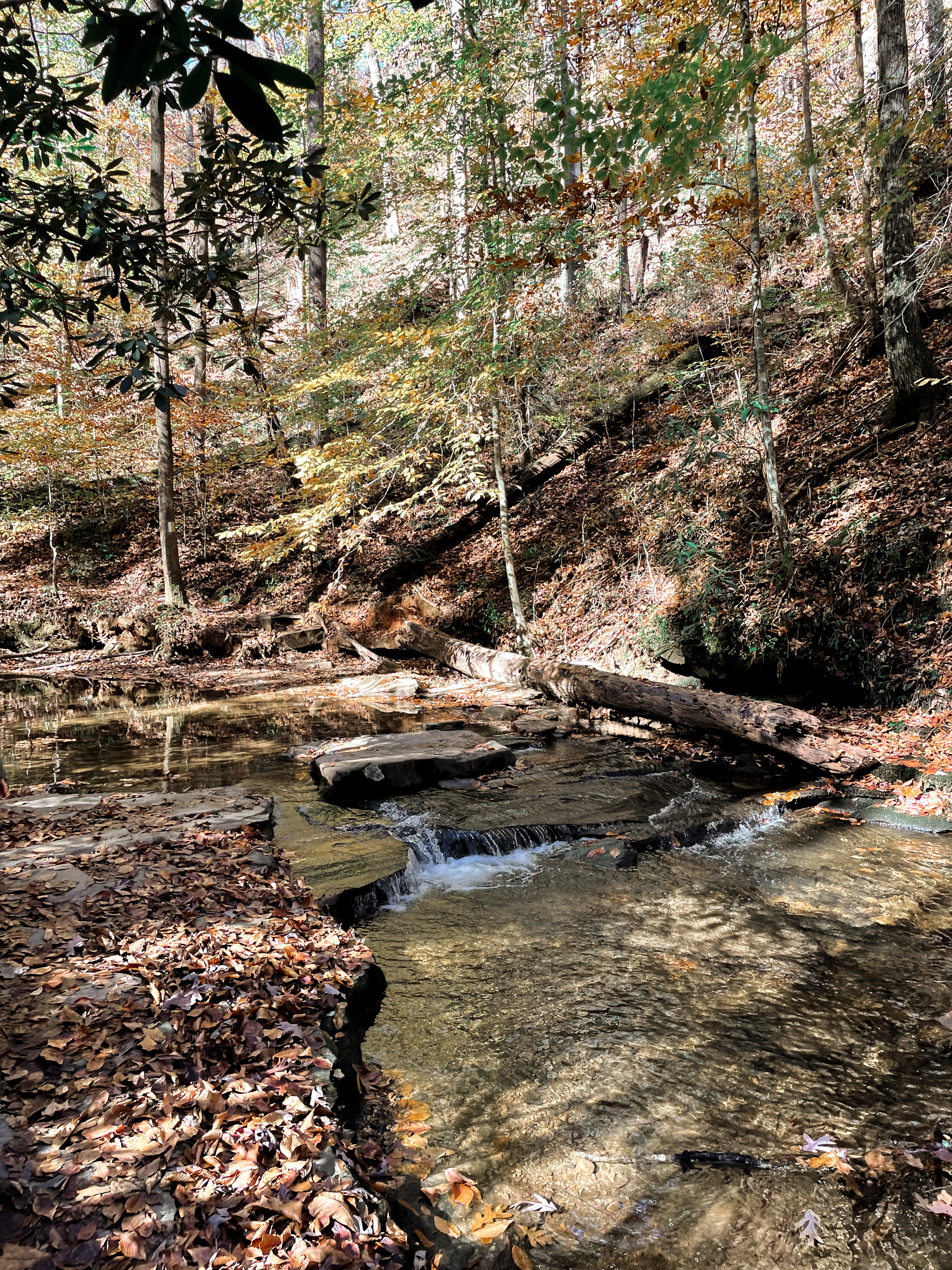 Carrick Creek Trail