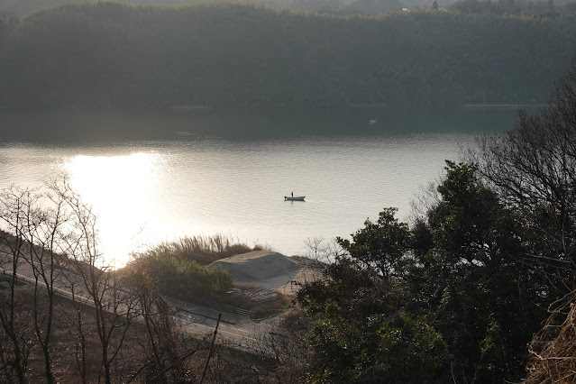 鳥取県東伯郡湯梨浜町宮内 東郷羽合線に下りる道路からの眺望