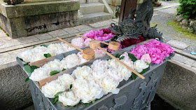 京都 柳谷観音 楊谷寺 花手水