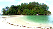 There were four trees on the island and a handful, if you can have a handful . (moyanne island seychelles brendon grimshaw the flying tortoise)