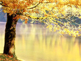 Nature-Autumn-Wallpapers