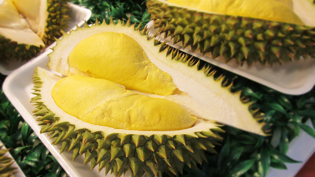 ibu-hamil-tidak-boleh-makan-buah-durian