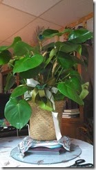 lisas_salon51@yahoo.com (4)
