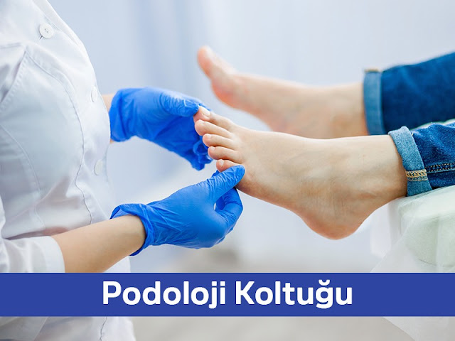 Podoloji Koltuğu