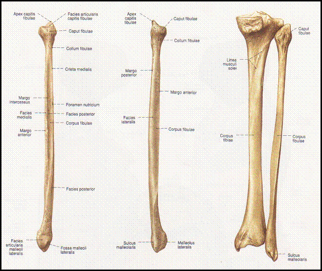 clip_image002[17]